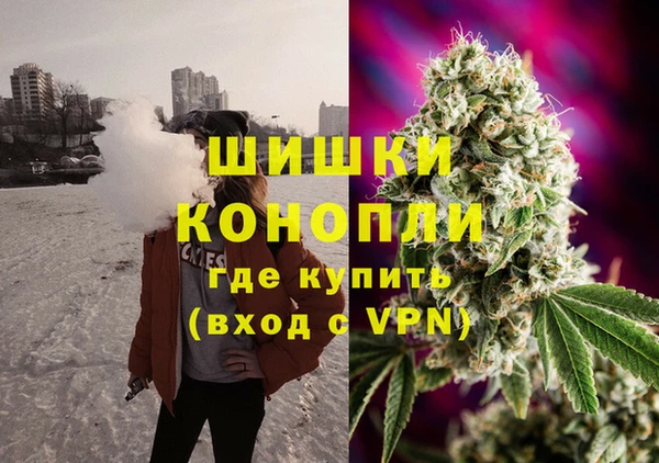 гидра Армянск