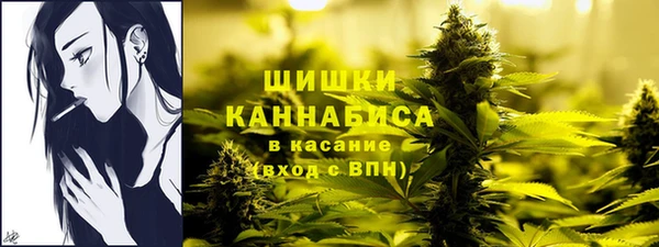 гидра Армянск